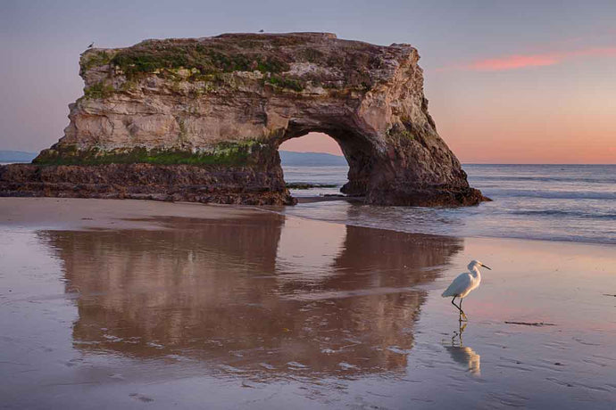 Capture the Magic of Santa Cruz's Natural Beauty: A Local Photographer's Favorite Spots