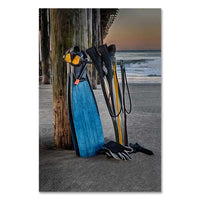 Santa Cruz Art Print donates to SeaLagacy, from sales of home decor wall art and iPhone & Galaxy phone cases 