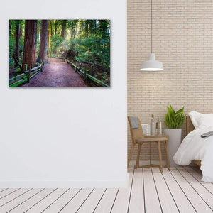 A Light in the Redwoods - Bedroom Wall Art Print