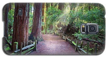 Load image into Gallery viewer, A Light In The Redwods - Phone Case - Santa Cruz Art Prints