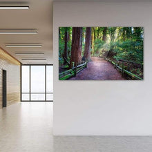 Load image into Gallery viewer, A Light in the Redwoods - Office Wall Art Print