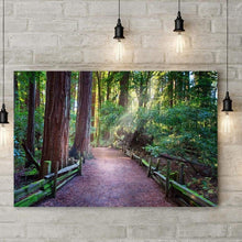 Load image into Gallery viewer, A Light In The Redwods - Canvas Print - Santa Cruz Art Prints