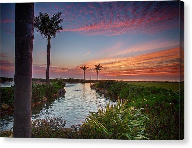 Sunset In The Palms - Canvas Print - Santa Cruz Art Prints
