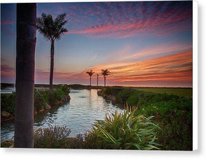 Sunset In The Palms - Canvas Print - Santa Cruz Art Prints