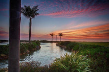 Load image into Gallery viewer, Sunset In The Palms - Art Print - Santa Cruz Art Prints