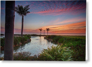 Sunset In The Palms - Greeting Card - Santa Cruz Art Prints