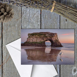White Bird - Greeting Card - Santa Cruz Art Prints